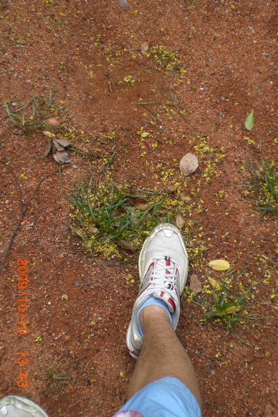 CIMG6577.JPG 午後隨影─側拍文化大學滾球隊練習 CIMG6577.JPG