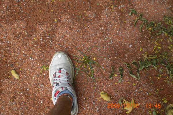 CIMG6579.JPG 午後隨影─側拍文化大學滾球隊練習 CIMG6579.JPG