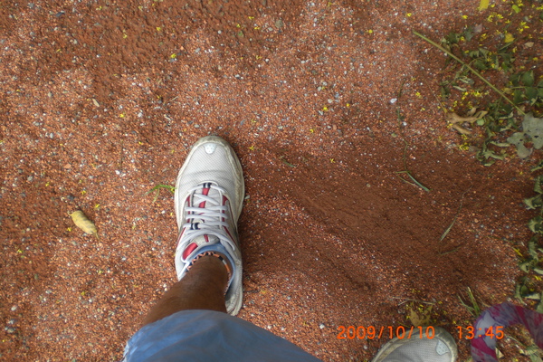 CIMG6580.JPG 午後隨影─側拍文化大學滾球隊練習 CIMG6580.JPG