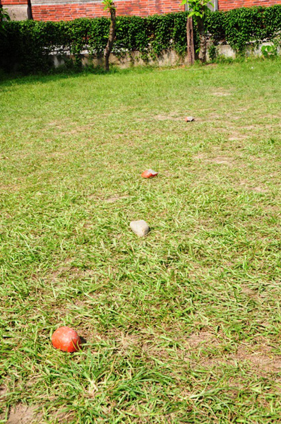 圖二十二.JPG 屏東縣潮和國小法式滾球隊側寫