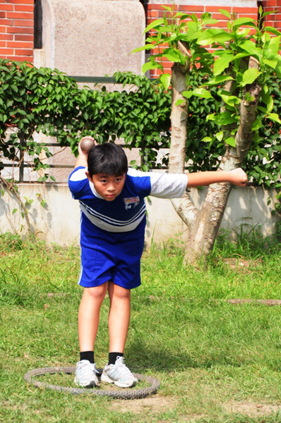 圖三十一.JPG 圖三十一.JPG